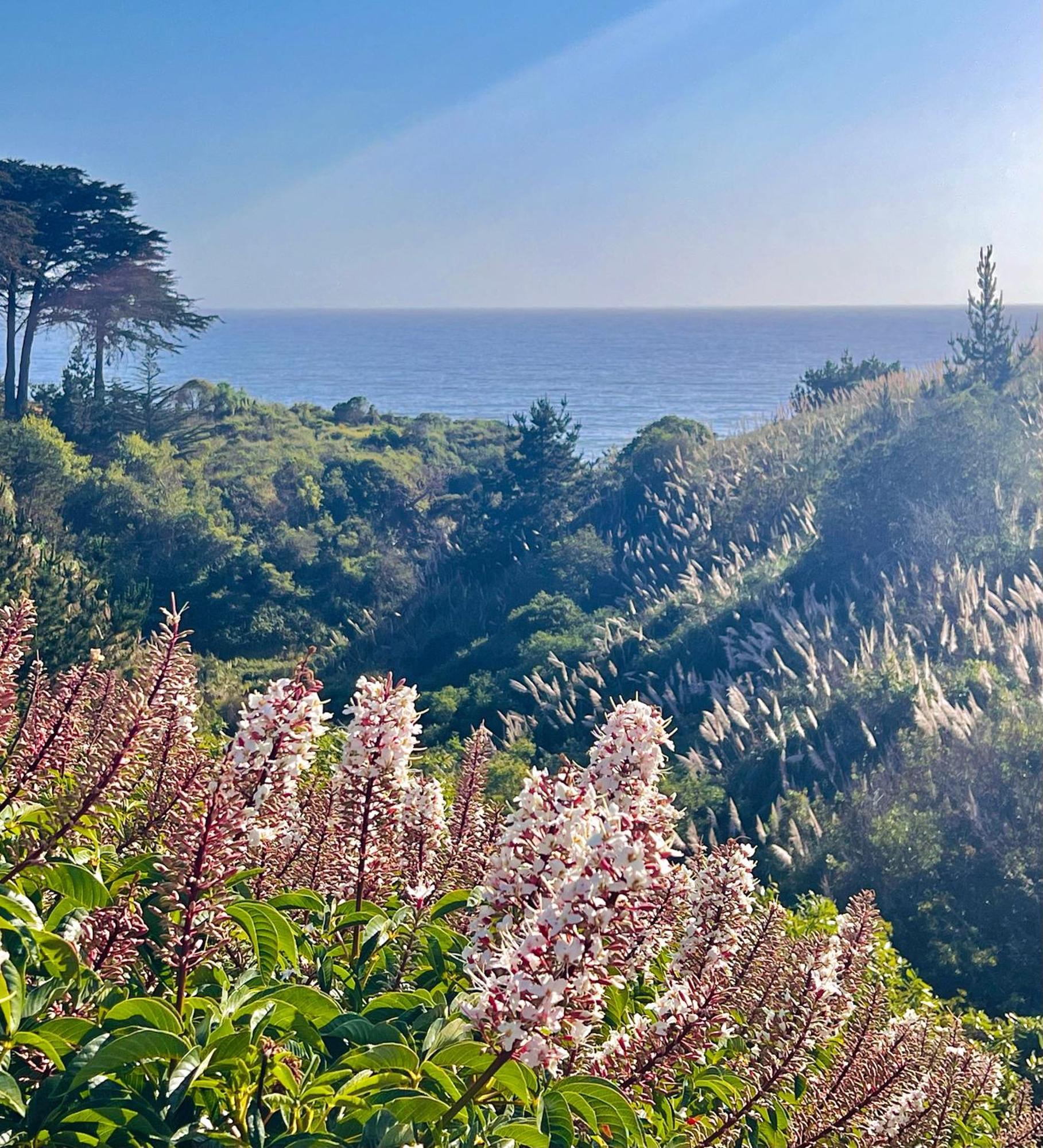 Royal Villa - Ocean View - Heated Pools - Seascape'S Best 1 Bedroom - 3 Beds - End Unit Aptos Extérieur photo